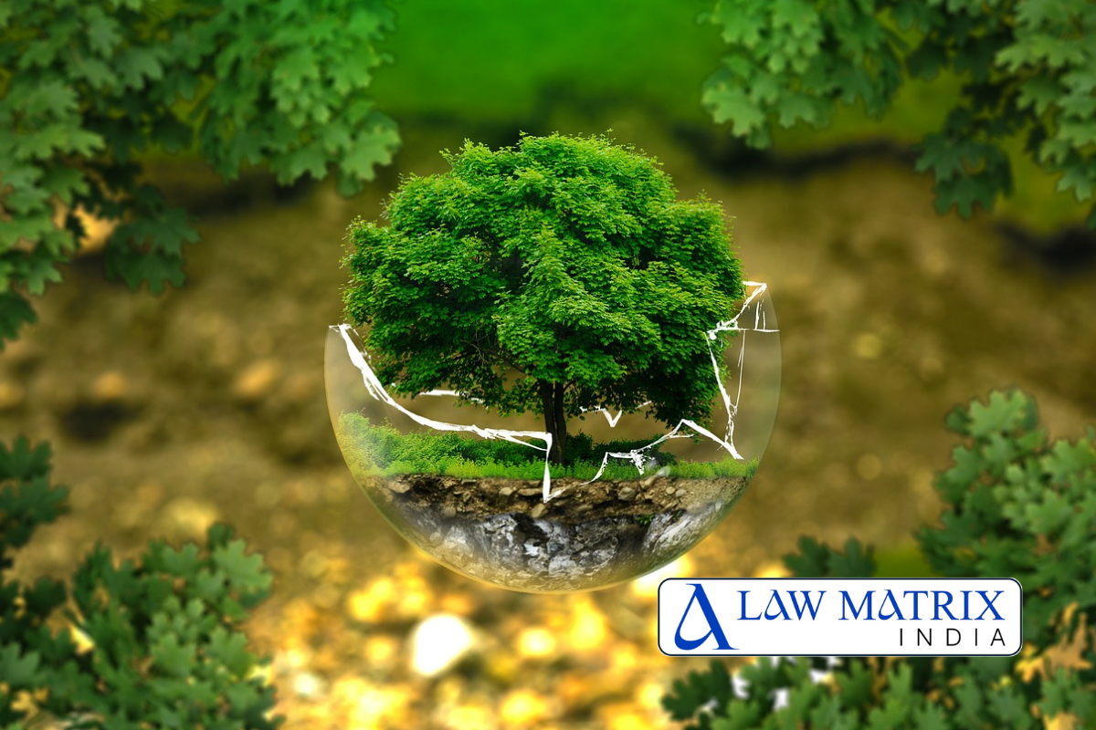 ENVIRONMENTAL-LAW-LAWYER